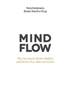 Energetisches Coaching-Mindflow